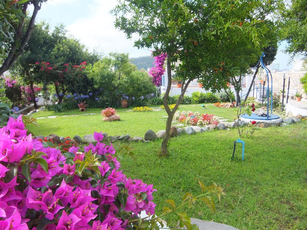 Il Mediterraneo - Adults Only Ponza Exterior photo