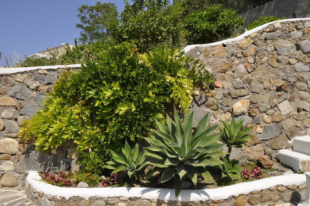 Il Mediterraneo - Adults Only Ponza Exterior photo