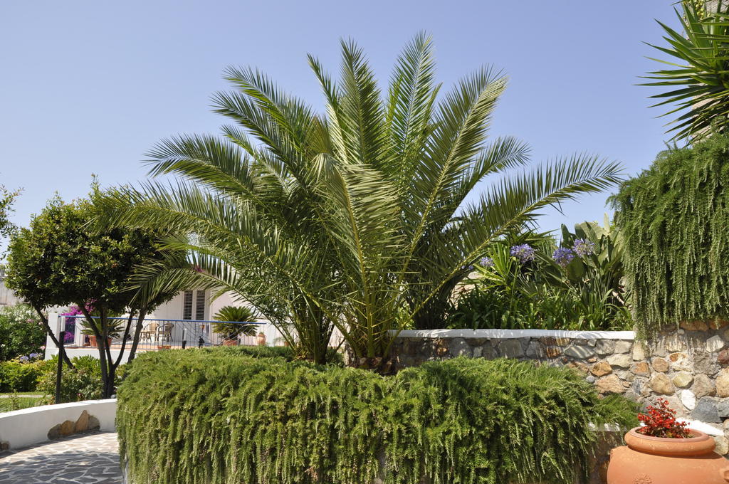 Il Mediterraneo - Adults Only Ponza Exterior photo